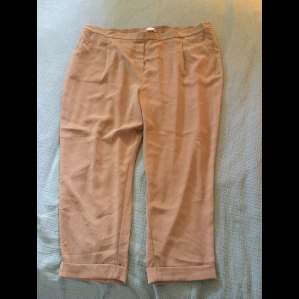 NWOT Slacks 3X